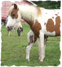 Icy's mother Bonnie