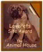 Thank you 'The Animal House'  for this award!