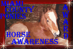 Thank you Miami County Ponies for the award of Horse Awareness!