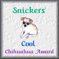 Thank you Snickers for th Cool Chihuahua award!